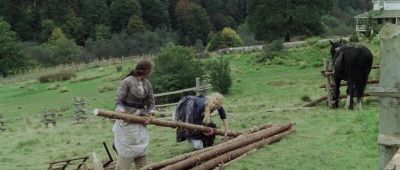 This fence is about the first thing that I've ever done - Cold Mountain