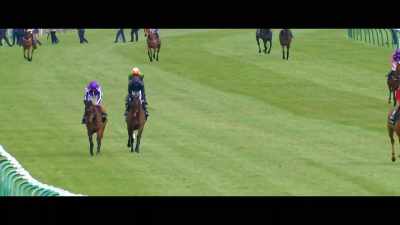 This
field of 11 elite fillies - Horsepower