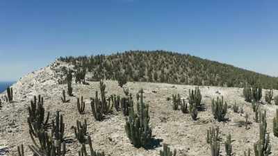 This finely-balanced relationship
is at risk, - The Green Planet