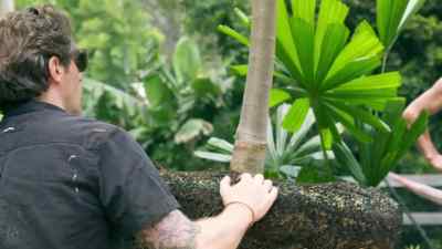 This flat garden is a huge
asset on a sloping block, - Selling Houses Australia