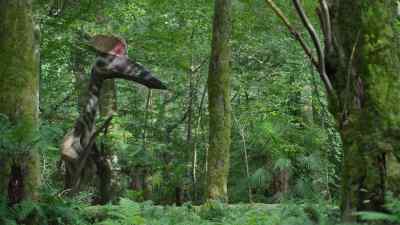 This forest, so rich in small creatures,
is one of its regular hunting grounds. - Prehistoric Planet