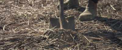 This form of agriculture - 2040