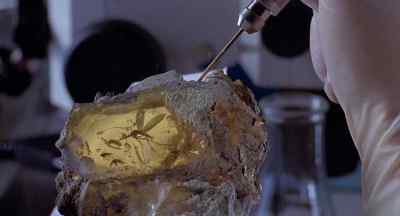 This fossilised tree sap which we call amber - Jurassic Park