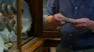 This is fossilized
ichthyosaur droppings - Attenborough and the Sea Dragon