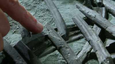 This fracture here mirrors
that fracture there - Attenborough and the Sea Dragon