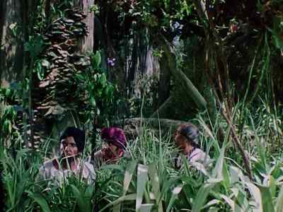 - This is getting dangerous.
- Yes. - Jungle Book