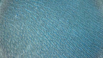 This glacial ice, together with the sea ice, - Our Planet