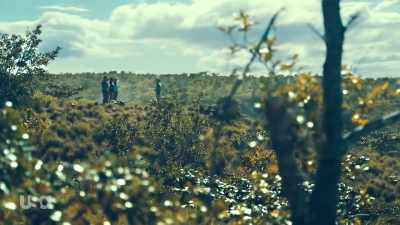 - This is going - Snake in the Grass