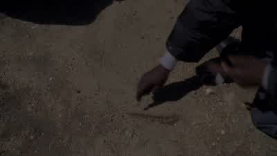 This gonna be so easy. - The Wire