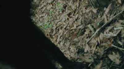 This is gonna be under water
any month now, - Path of the Panther