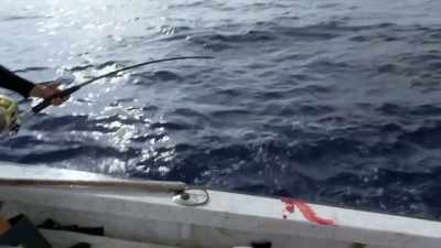 This guy bit
when I was clearing the line, - Deadliest Catch: Bloodline