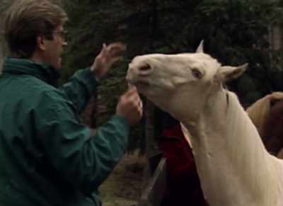 This handsome albino
is Mary's pride and joy in part - Being Mary Tyler Moore