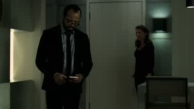 This has to do with the stray? - Westworld