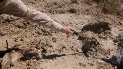 THIS HERE WOULD BE
THE OCCIPITAL VERTEBRAE. - Dino Hunters