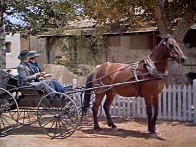 This is his place.
- Thanks a lot, Reverend. - Ride Clear of Diablo