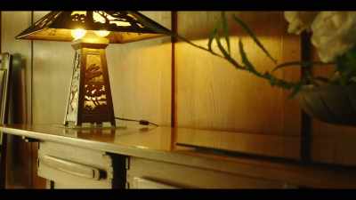 This home is the greatest illustration - The History of Home Narrated by Nick Offerman