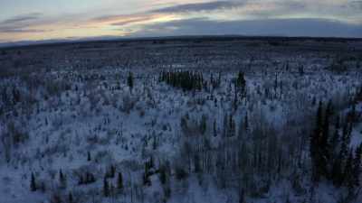 This is how people get fish.
It's normal. - Life Below Zero: Next Generation