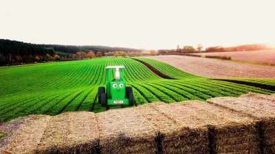 This huge field
is full of carrots. - Tractor Ted