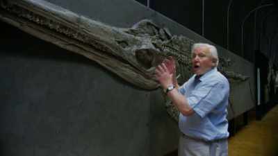 This huge predator - Attenborough and the Sea Dragon