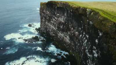 This Icelandic cliff is inaccessible
to most predators.  - Super/Natural
