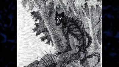   This idea of shadow entities - Expedition Bigfoot