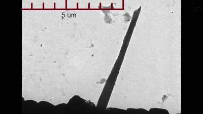 This image shows
an asbestos fiber - Not So Pretty