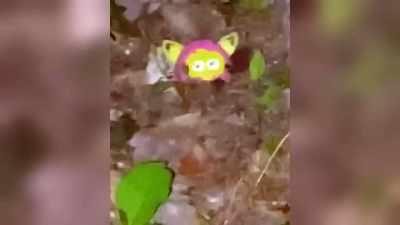This is in the middle
of the woods, - The Osbournes Want to Believe