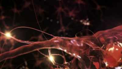 THIS INCREASES OVERALL
COGNITIVE FUNCTION, - Origins: The Journey of Humankind