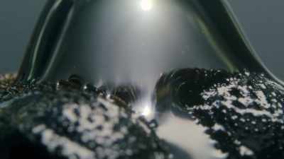 This ingenious lizard can stay submerged - Super/Natural