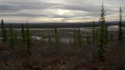 THIS IS A GOOD PLACE FOR MOOSE
'CAUSE I GOT AN ADVANTAGE. - The Last Alaskans