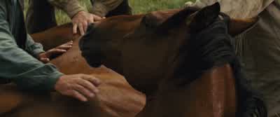This is a stubborn one, huh? - War Horse