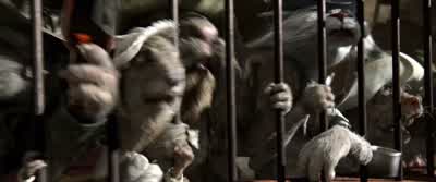 This is all we have! - Rango