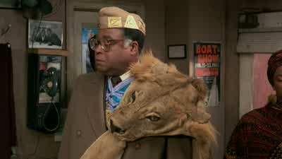 This is beautiful. - Coming to America