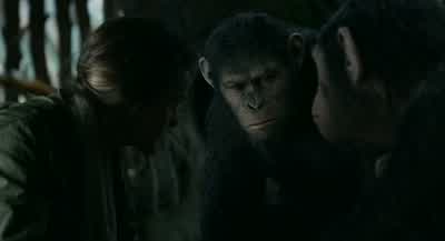 - This is bullshit, man! - Dawn of the Planet of the Apes