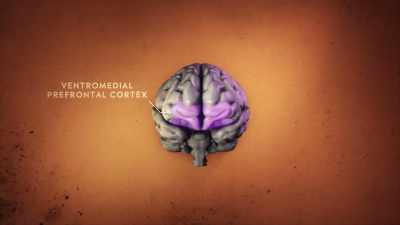 THIS IS CALLED THE
VENTROMEDIAL PREFRONTAL AREA, - Why We Hate