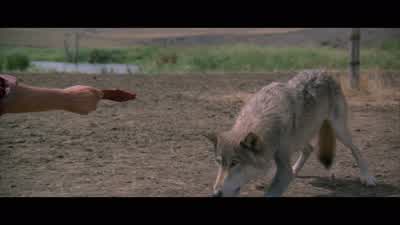 This is easy. - Dances with Wolves
