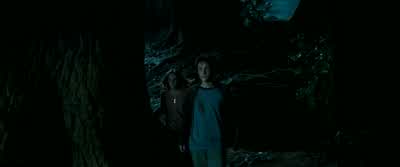 This is horrible. - Harry Potter and the Prisoner of Azkaban