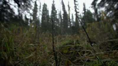 This is, kind of
on a larger scale, - Life Below Zero: Next Generation