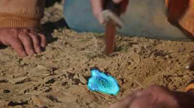 THIS IS NOT A VERT.
THIS IS A LIMB BONE. - Dino Hunters