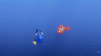 This is not whale. - Finding Nemo