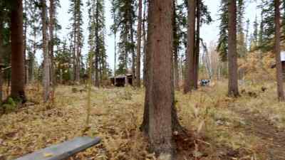 THIS IS PROBABLY THE MOST
FREE LIFE YOU COULD LIVE. - The Last Alaskans
