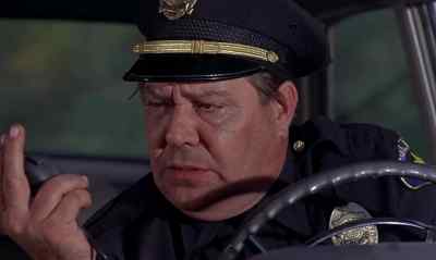 THIS IS SGT. CARMODY IN-- - The Ugly Dachshund