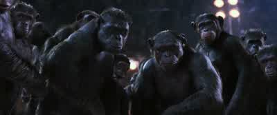 This is the ape I told you about! - War for the Planet of the Apes