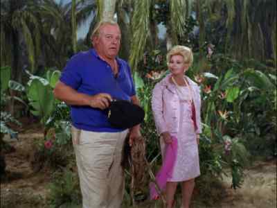 THIS IS WHAT I LIKE
ON A DESERTED ISLAND. - Gilligan's Island