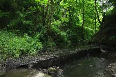 This island
is a complete eco-system. - The A List