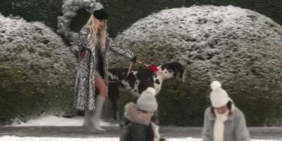 This isn't a dog.
It's bloody Big Foot. - The Princess Switch 3: Romancing the Star