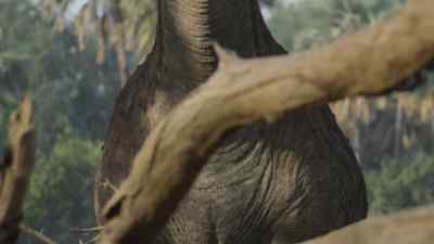 This isn't quite what he was hoping for. - Prehistoric Planet