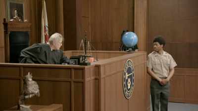 This isn't the last time.
Or will it be the last time
your head explodes? - Gary Busey: Pet Judge