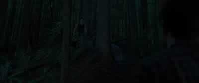 This isn't your territory anymore. - The Twilight Saga: Breaking Dawn - Part 1