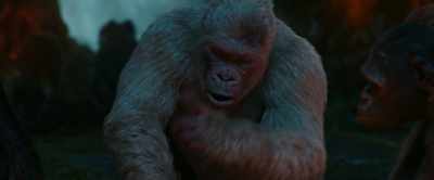 This is it, Father.
We can start over. A new home. - War for the Planet of the Apes